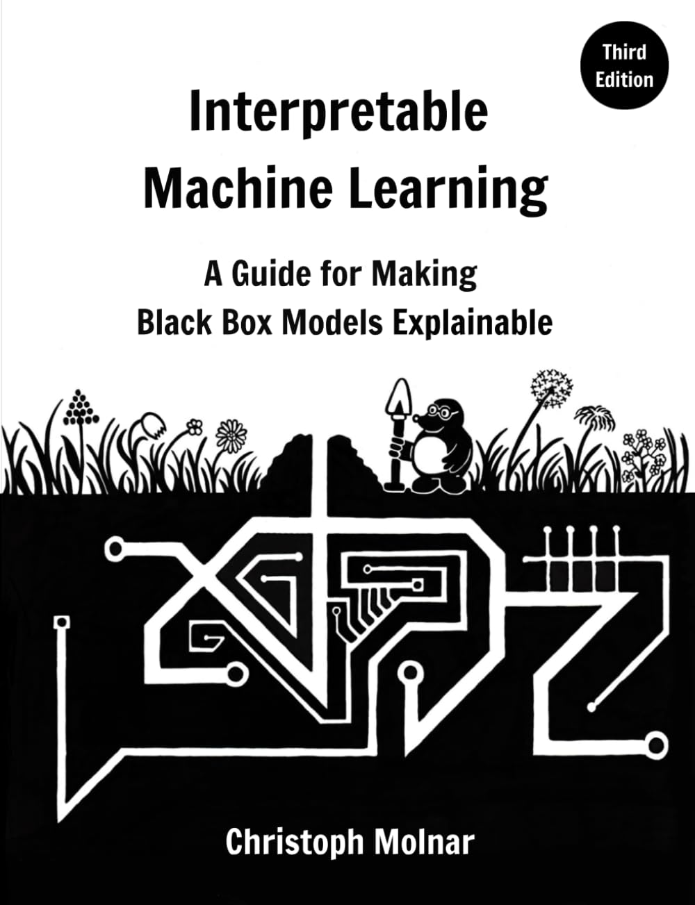 Interpretable Machine Learning: A Guide for Making Black Box Models Explainable